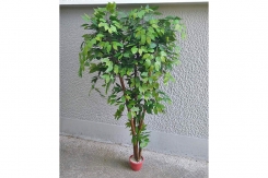 055 veštačka stabla bendžamina